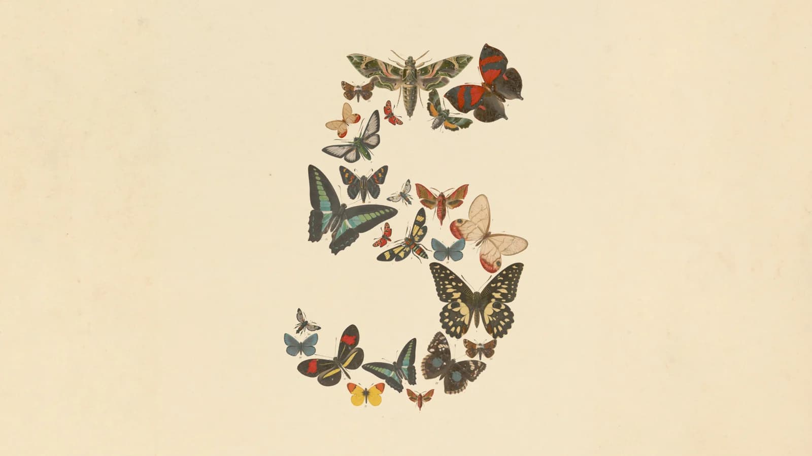 The number five rendered as a collage of vintage butterfly illustrations, the hero image from Anthropic's Claude Fable 5 announcement